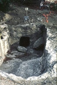 nekropolekarmi.jpg (30554 Byte)