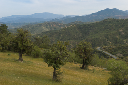 Landschaft bei Vouni im Westen Nordzyperns