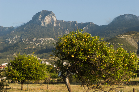 In der Umgebung von Girne mit Blick auf das Besparmak-Gebirge
