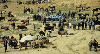 Viehmarkt auf dem Land, Albanien