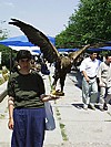 Unterwegs in Jerewan (Armenien)