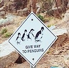 Australien / Pinguinschild