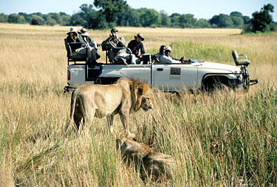 Botswana Kwando Im Geländewagen