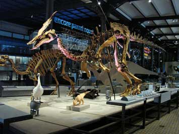 Dinosaurier Darmstadt