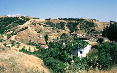 Mischmasch98.jpg (21257 Byte)