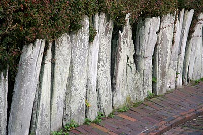 Borkum - Zaun aus Walknochen