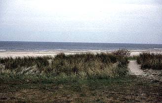 Ostfriesland / Landschaft