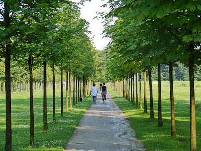 Münsterland: Alleen bestimmen die Gartengestaltung des Bagnoparks
