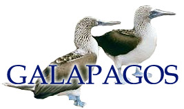 Ecuador - Galapagos-Inseln