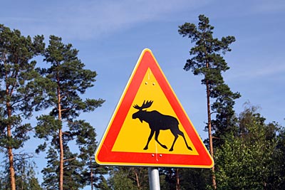 Finnland - Schild: Achtung, Elche!