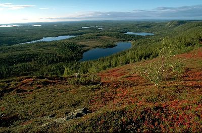 Finnland Bärenrunde Landschaft