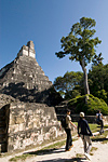 Maya Tempel Nr. 1 (Gro�er Jaguar) im Tikal Nationalpark, Guatemala