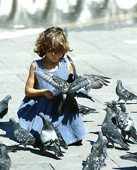 Venedig - Tauben füttern auf dem Markusplatz