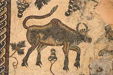 Jordanien - Berg Nebo