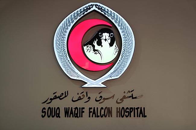 Katar - Falken-Hospital