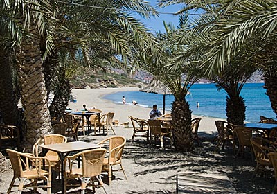 Schattig sitzen am legendären Palmenstrand von Vai (Kreta)