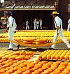 K&auml;se aus Holland