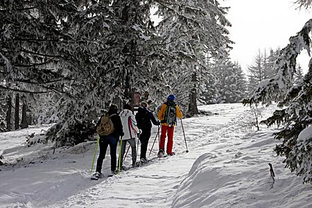 Österreich - Mit Schneeschuhen geht es durch die malerische Winterwelt der Nockberge