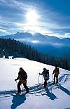 Langlauf in &Ouml;sterreich