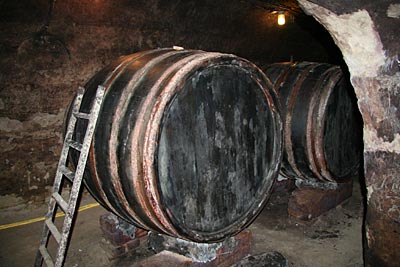 Niederösterreich - Weinfässer im Keller