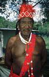 Mak&aacute;-Indio im Mak&aacute;-Reservat am Stadtrand Asunci&oacute;ns