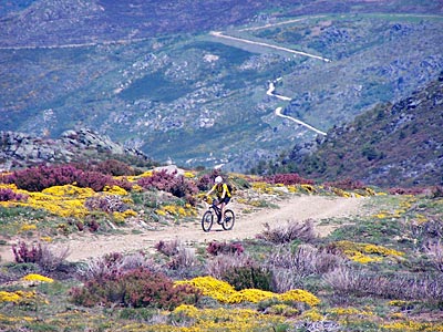Zentral-Portugal - Bikerin