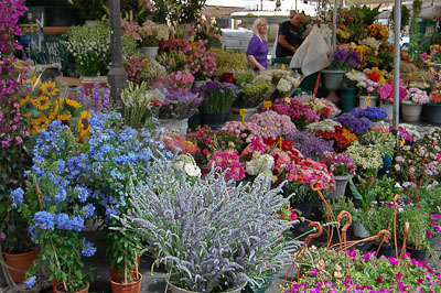 Campo dei Fiori, Rom
