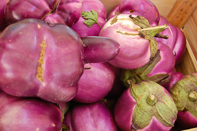 Auberginen