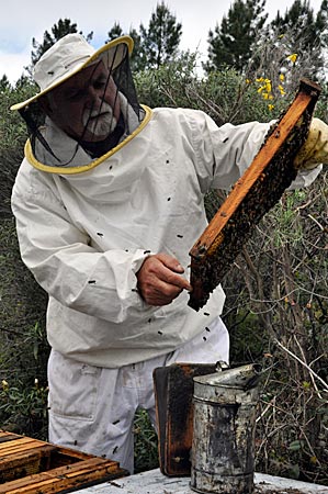 Spanien - Honig im Las-Hurdes-Gebirge in der Extremadura