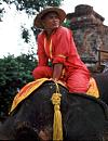 Thailand, Elefant