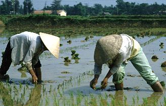 Vietnam