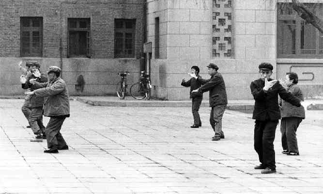 Taiji01.jpg (24768 Byte)