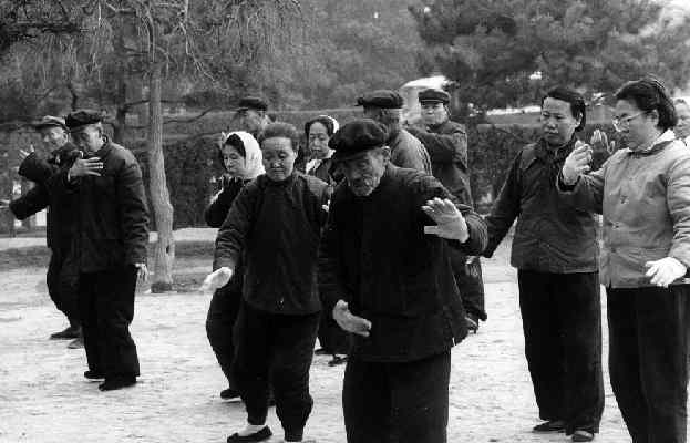 Taiji02.jpg (24976 Byte)