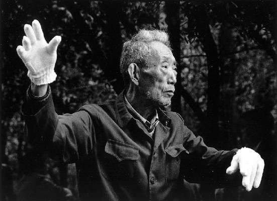 Taiji03.jpg (25829 Byte)