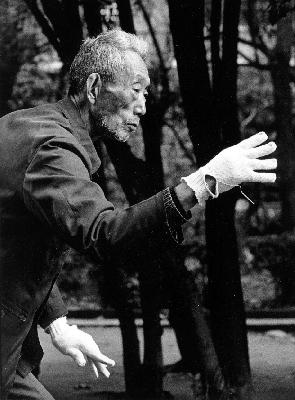 Taiji05.jpg (23980 Byte)