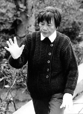 Taiji08.jpg (25638 Byte)