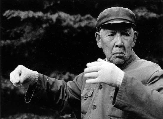 Taiji09.jpg (25864 Byte)