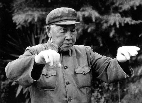 Taiji10.jpg (25450 Byte)