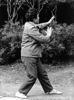 Taiji11.jpg (24654 Byte)