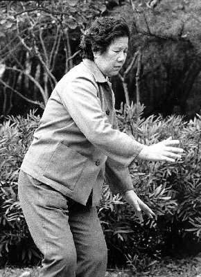 Taiji12.jpg (24811 Byte)