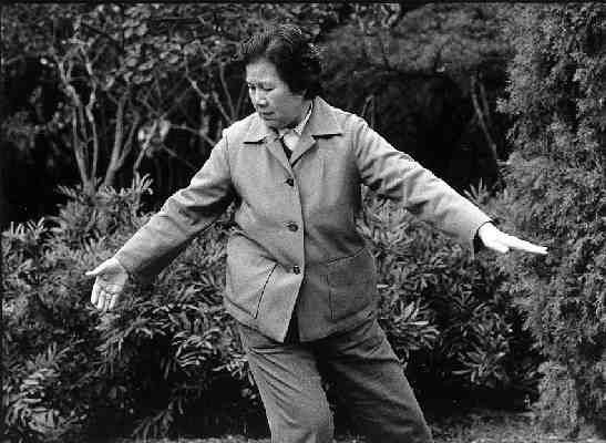 Taiji13.jpg (25430 Byte)