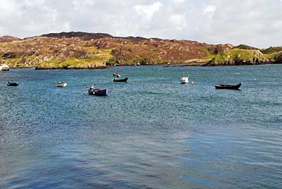 Irland - Connemara - Curraghs, den traditionellen keltischen Booten aus leichtem Holzskelett, lederbespannt und schwarz geteert