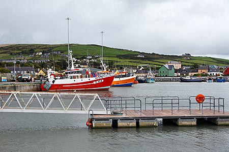 Irland - Blick auf Dingle Harbour