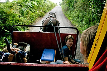 Mit Pferd und Planwagen durch Irland
