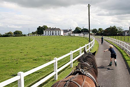 Mit Pferd und Planwagen durch Irland