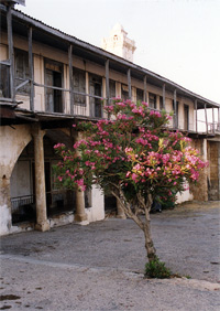 Andreaskloster, Nordzypern