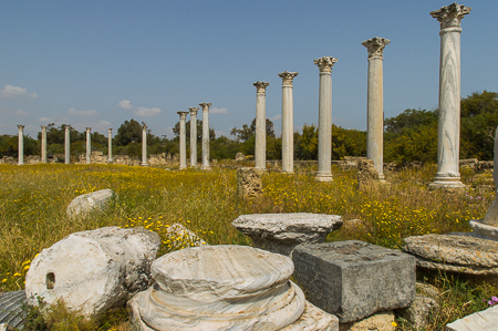 Die Ruinenlandschaft von Salamis: Das Gymnasium mit seinen mächtigen Säulen