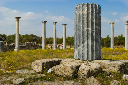 Die Ruinenlandschaft von Salamis: Das Gymnasium mit seinen mächtigen Säulen