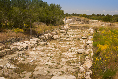Die Ruinenlandschaft von Salamis: Reste einer säulenbestandenen Straße einige Schritte südwestlich des Theaters