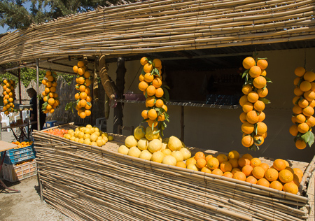 Zitronen und Orangenverkauf in Nordzypern